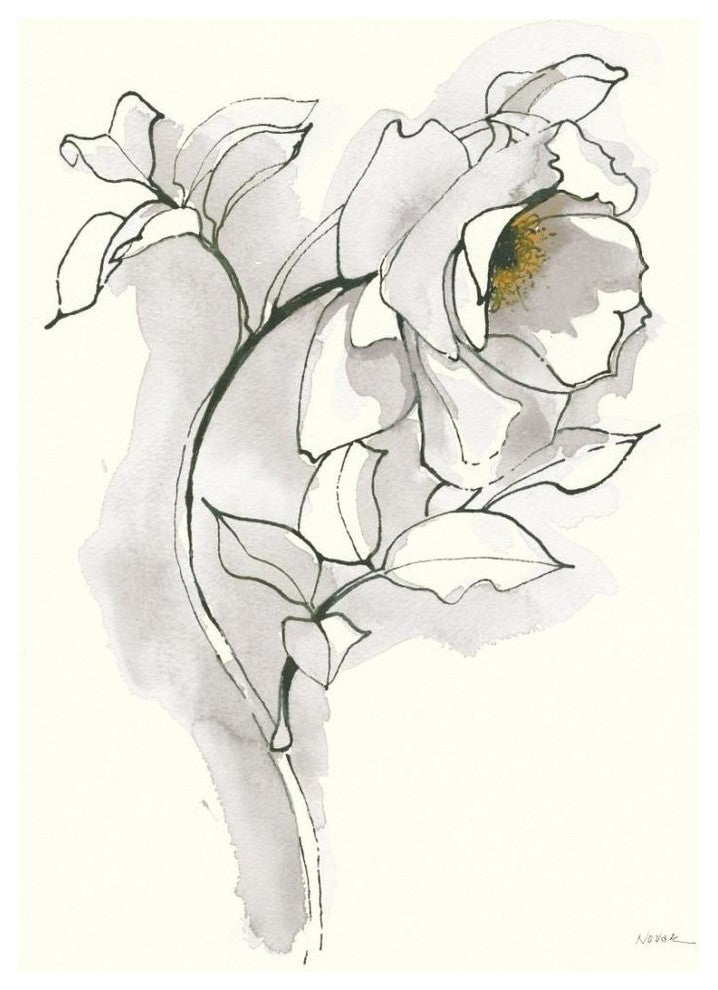"Carols Roses III Soft Gray" Digital Paper Print by Shirley Novak, 18"x22"