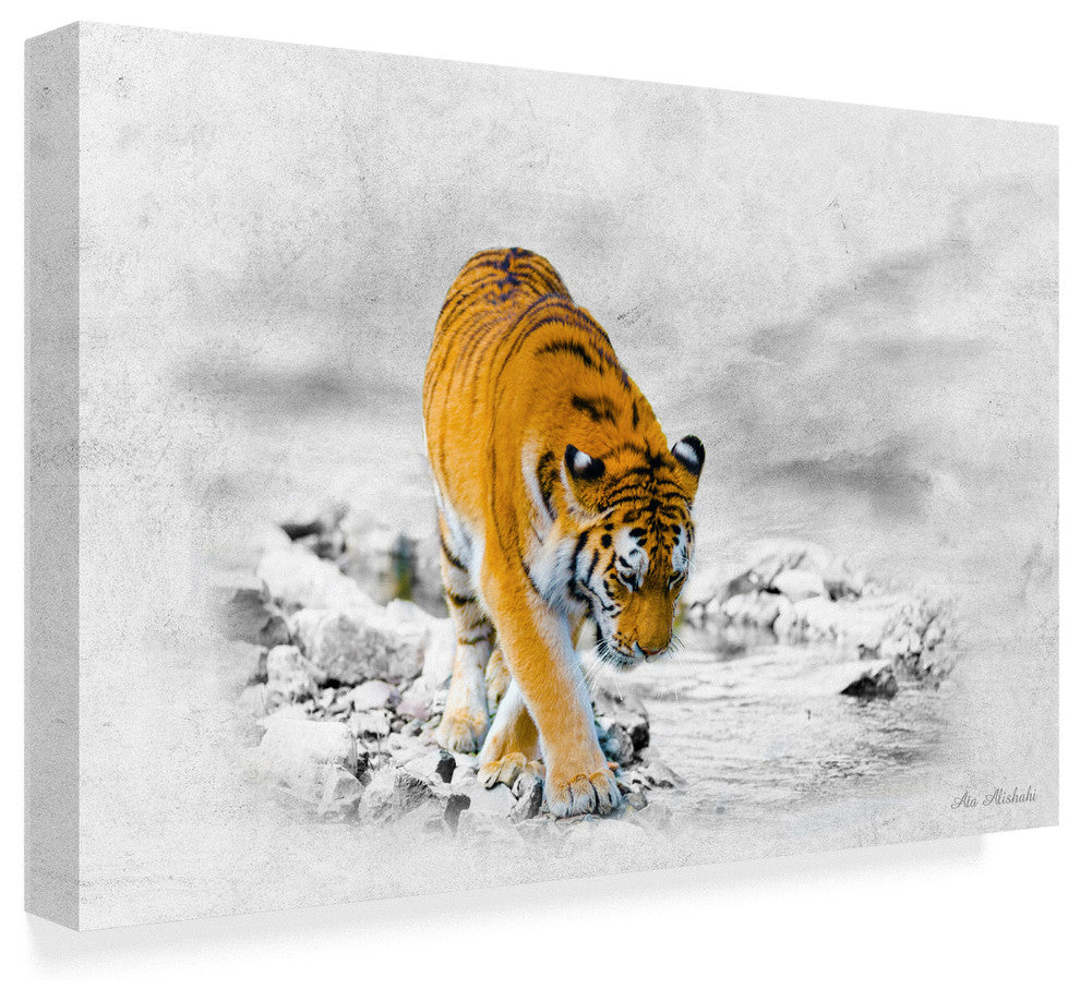 "The King Tiger" by Ata Alishahi, Canvas Art, 12"x19"