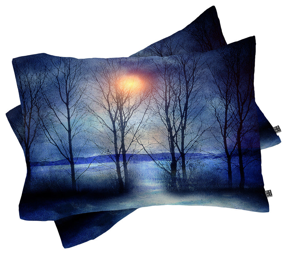 Deny Designs Viviana Gonzalez Winter Sonata Pillowcase