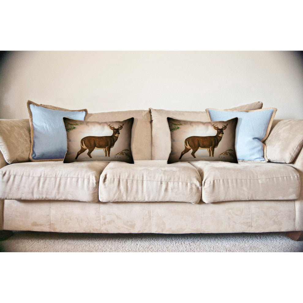 Buck Large Indoor/Outdoor Pillow 16x20