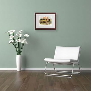 'Black-Footed Ferret' Matted Framed Canvas Art by John James Audubon