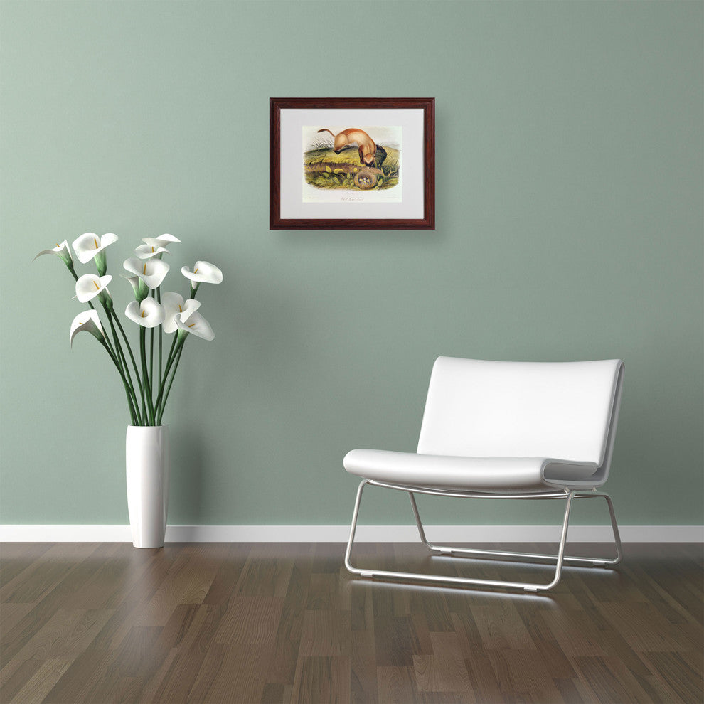 'Black-Footed Ferret' Matted Framed Canvas Art by John James Audubon