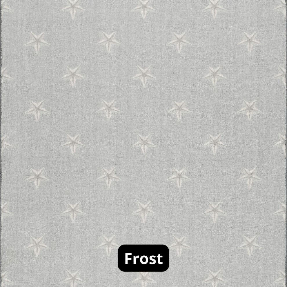 Star Pattern 3/8 Thick Indoor Area Rug Carpet, Frost, 4x8