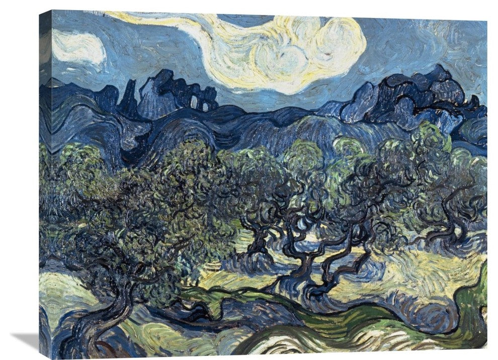 "Olive Trees With The Alpilles In The Background,Saint-Remy" Artwork, 30"x23"