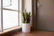 Root And Stock Brea Round Cylinder Planter, White, D:14" X H:14"