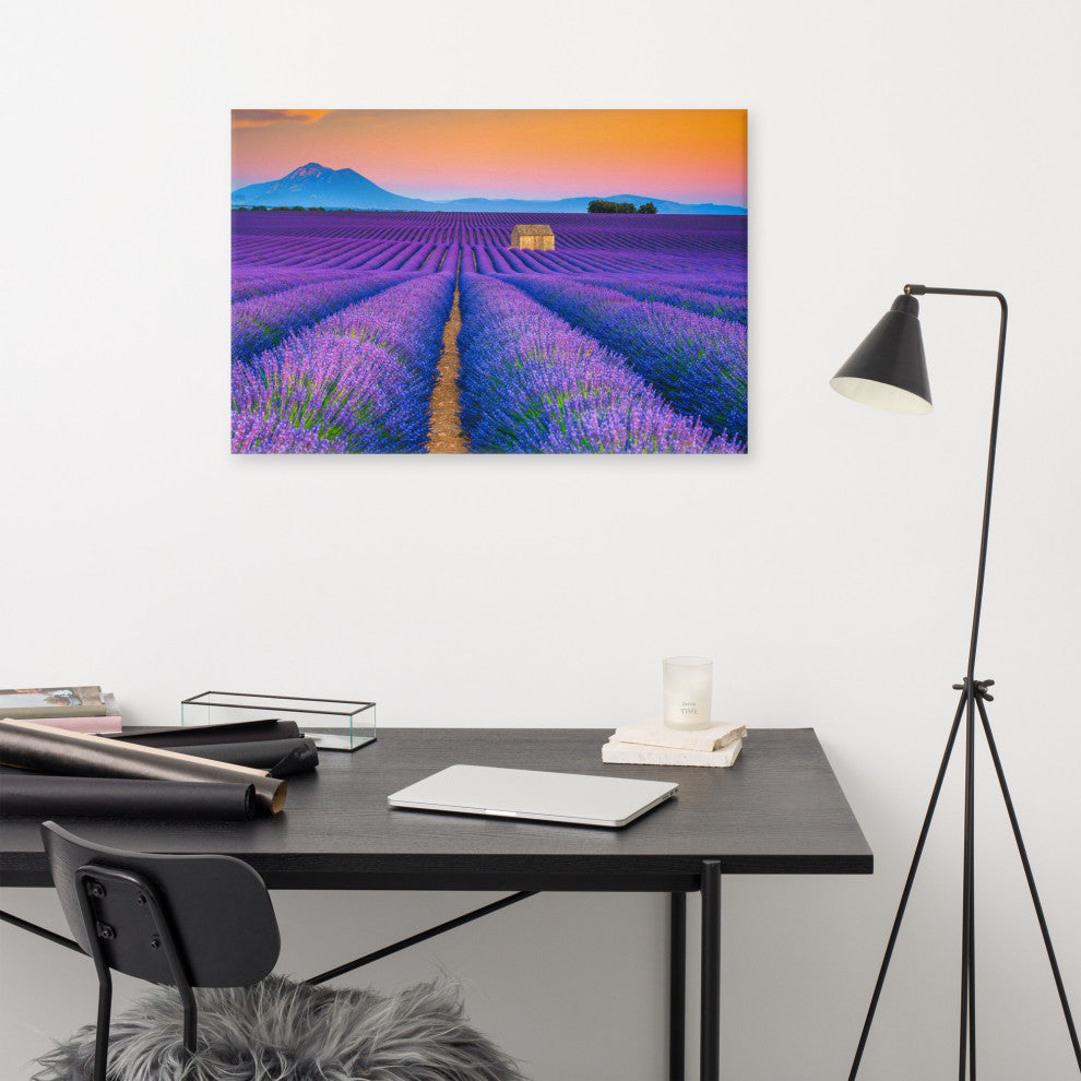 Blooming Lavender Field and Sunset Landscape Photo Canvas Prints, 24" X 36"