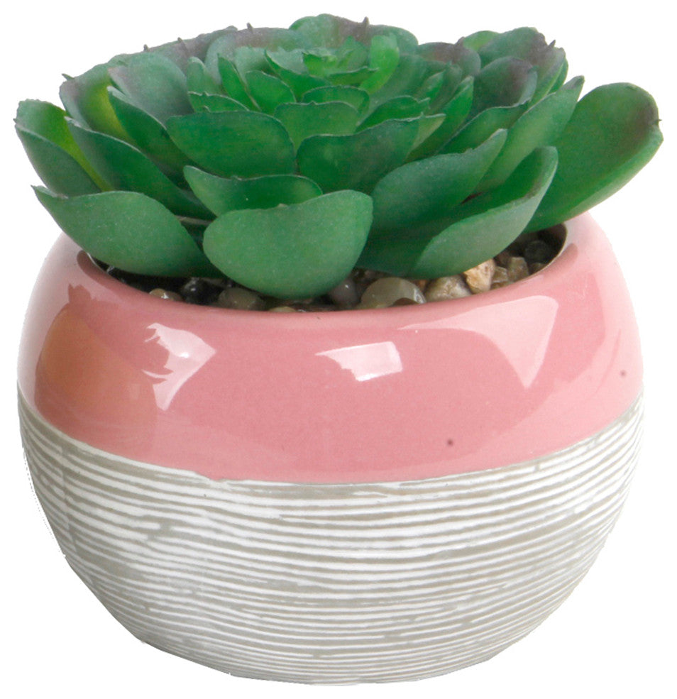 Succulent In Two Tone Lines Pattern Ceramic Pot ,Pink