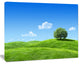 Calm Meadow with Single Tree, Landscape Canvas Art Print, 20"x12"