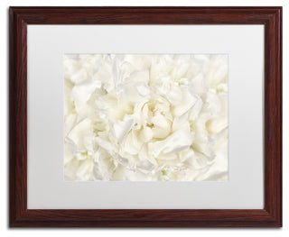 Cora Niele 'White Peony Flower' Matted Framed Art