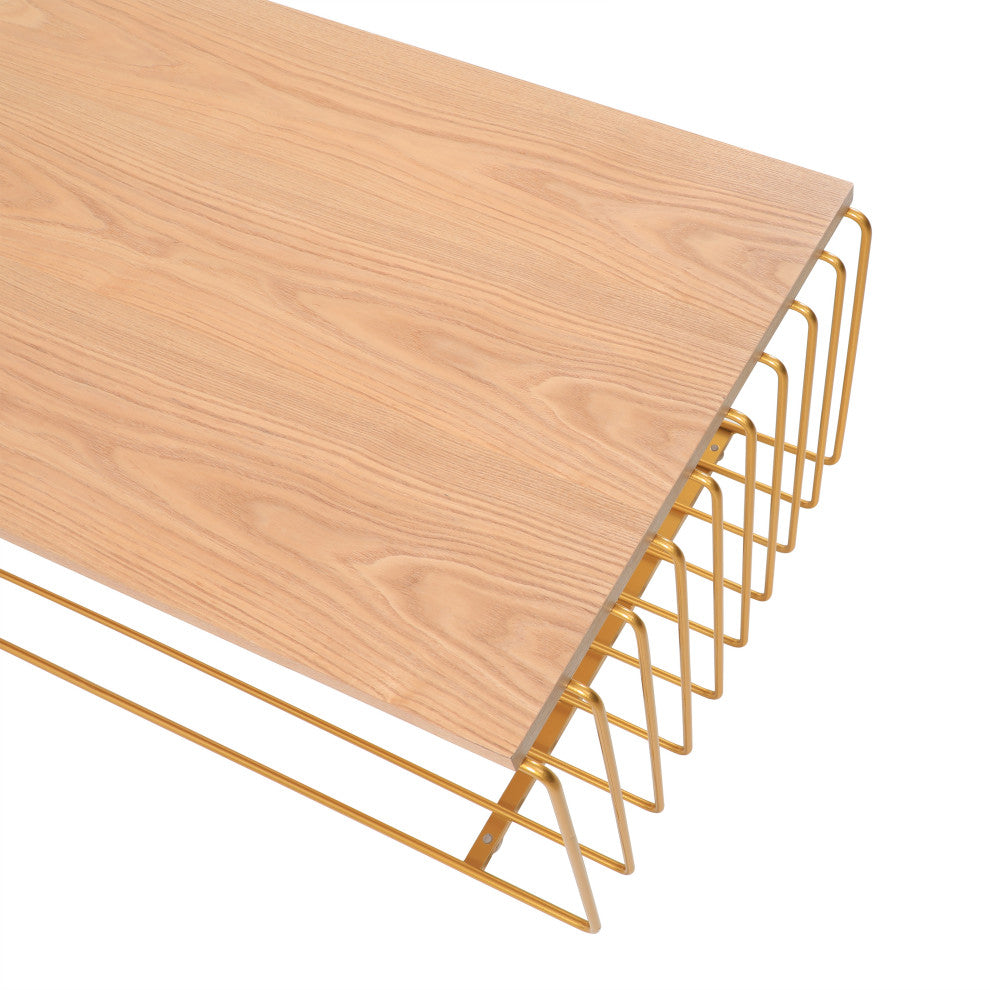 LeisureMod Walden Rectangular Coffee Table Powder Coated Steel Frame, Gold