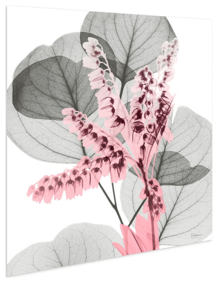 "Eucalyptus Bush 1"Frameless Free Floating Panel Graphic Wall Art, 24"x24"