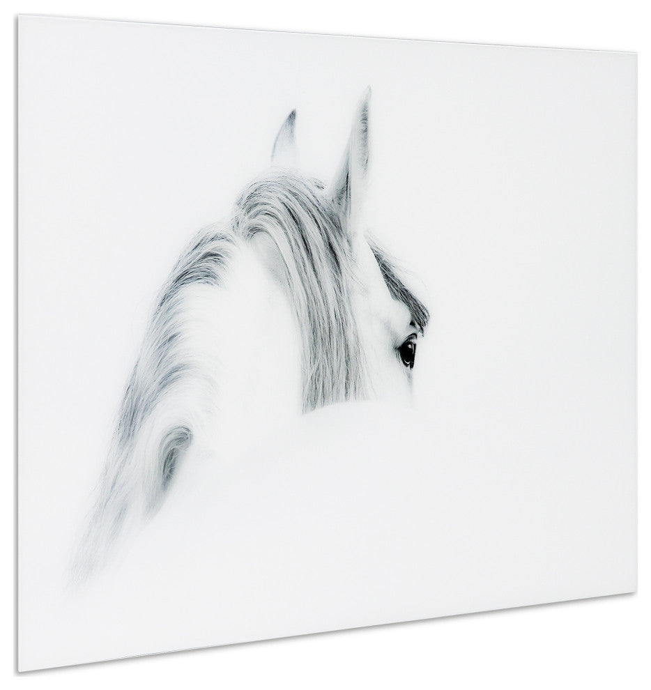 White Horse Wall Art Frameless Free Floating Tempered Glass Panel, 48" x 32"