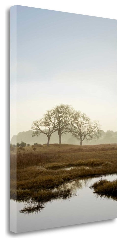 "Oak Tree - 66" By Alan Blaustein, Giclee Print on Gallery Wrap Canvas