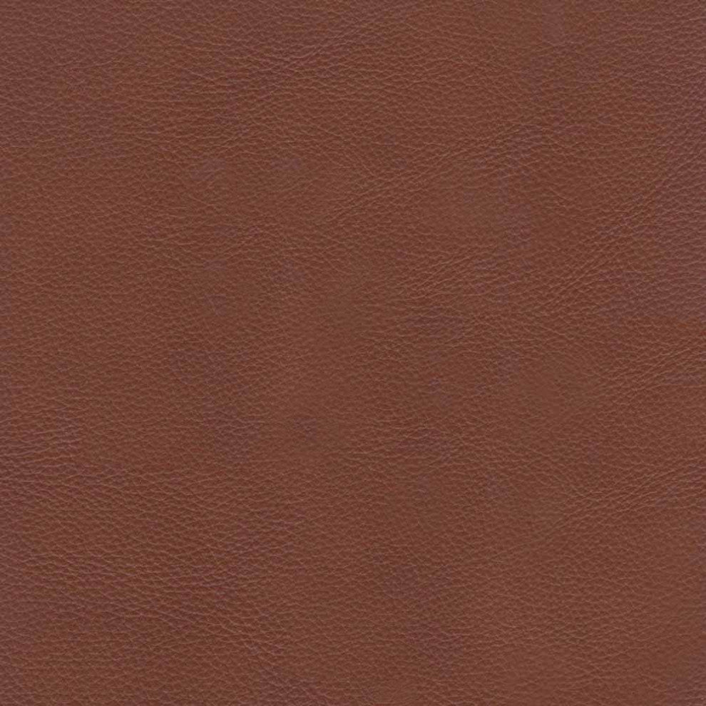 Hydeline Dillon Top Grain Leather Sofa Collection, Cinnamon Brown, Loveseat