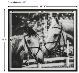 Uttermost 41465 Apple Of My Eye Framed Print