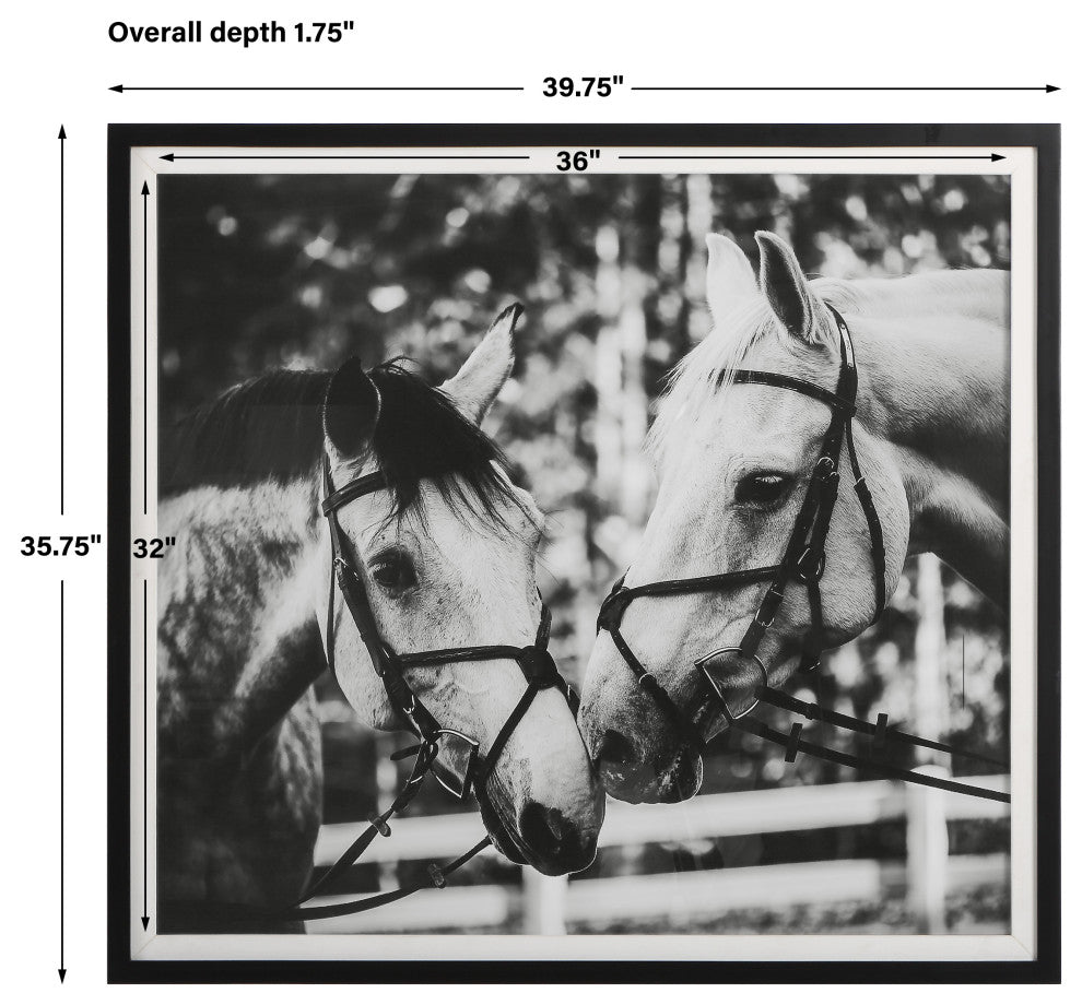 Uttermost 41465 Apple Of My Eye Framed Print