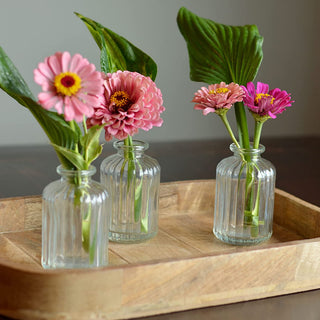 Ribbed Mini Bottle Vases