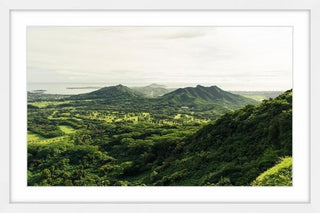 "Green Scenery" Framed Painting Print, 36"x24"