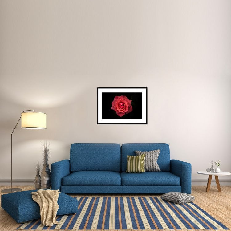 "Simplicity Is Beauty" Framed Digital Print by Rui Boino, 38"x28"