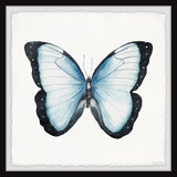 "Butterfly Dreams" Framed Painting Print, 12x12