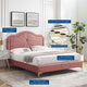Platform Bed Frame, Queen Size, Velvet, Pink, Modern Contemporary, Bedroom