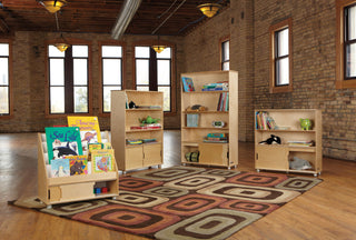Truemodern Bookcase Storage, 4-Compartment