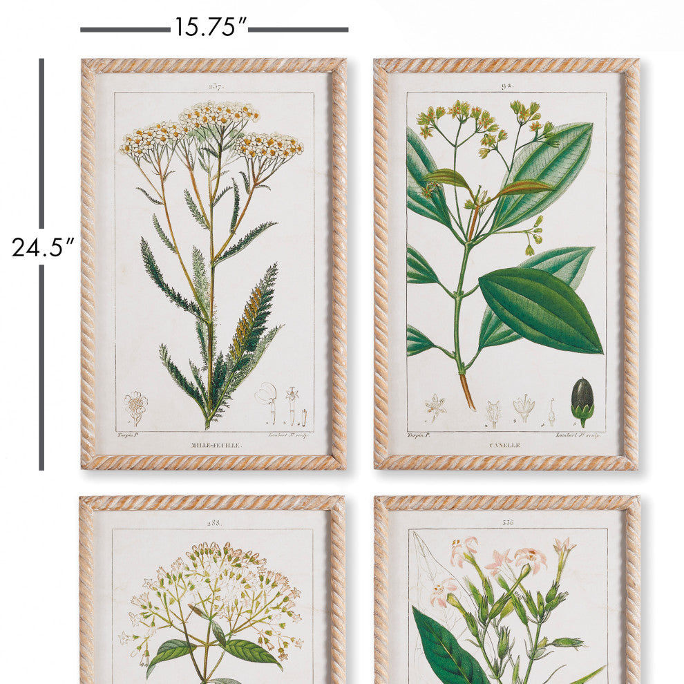 4-Piece Meadow Botanical Study Set