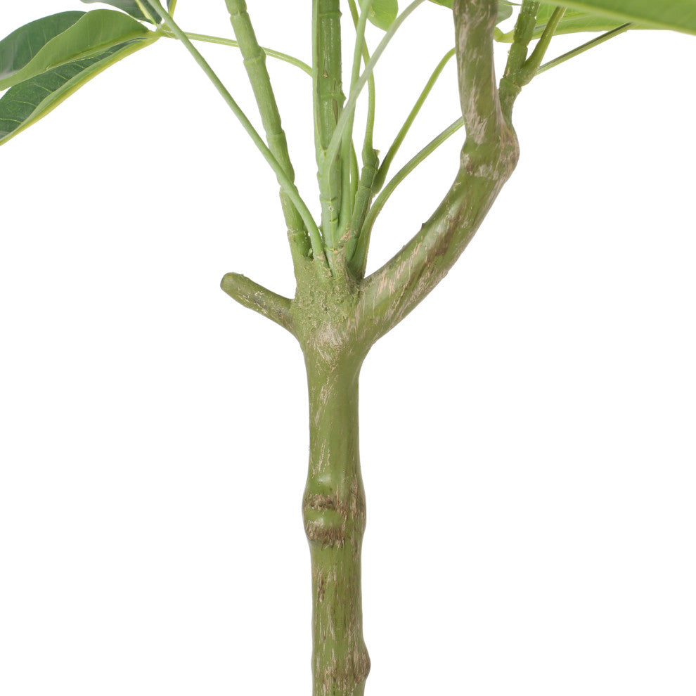 Coles Artificial Money Tree, Green, 23.6wx19.7dx47.2h