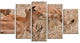 Grants Gazelles Grazing in Grassland, Animal Canvas Art Print, 60"x32", 5 Panels