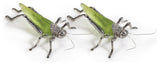 Decorative Grasshopper Figurine, Green (Set of 2)