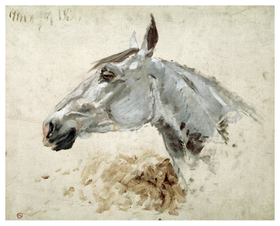 "Test Di Cavallo" Paper Art, 18"x15"