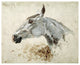 "Test Di Cavallo" Paper Art, 18"x15"
