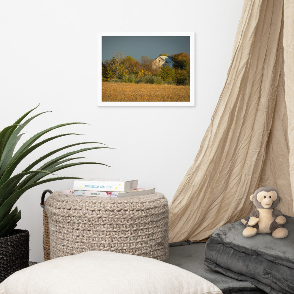 Abandoned Barn In The Trees Framed Photo Paper Wall Art Prints, White, 12" X 16"