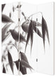 48" X 72" Multi Color Wood Canvas  Screen