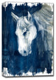 Ready2HangArt 'Horse Blues' Gallery Wrapped Canvas Art, 20 in