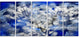 White Chrysanthemum Fractal Flower, Large Floral Canvas Print, 60"x28", 5 Panels