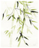 "Bamboo Leaves V Green" Digital Paper Print by Danhui Nai, 24"x30"