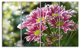 Purple Chrysanthemum Flower, Floral Canvas Art Print, 48"x28", 4 Panels