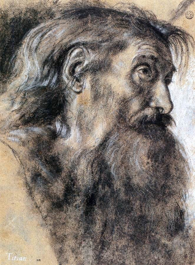 Giovanni Girolamo Savoldo Head of St Jerome Wall Decal