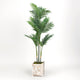 Golden Palm Tree, Square Wooden Planter