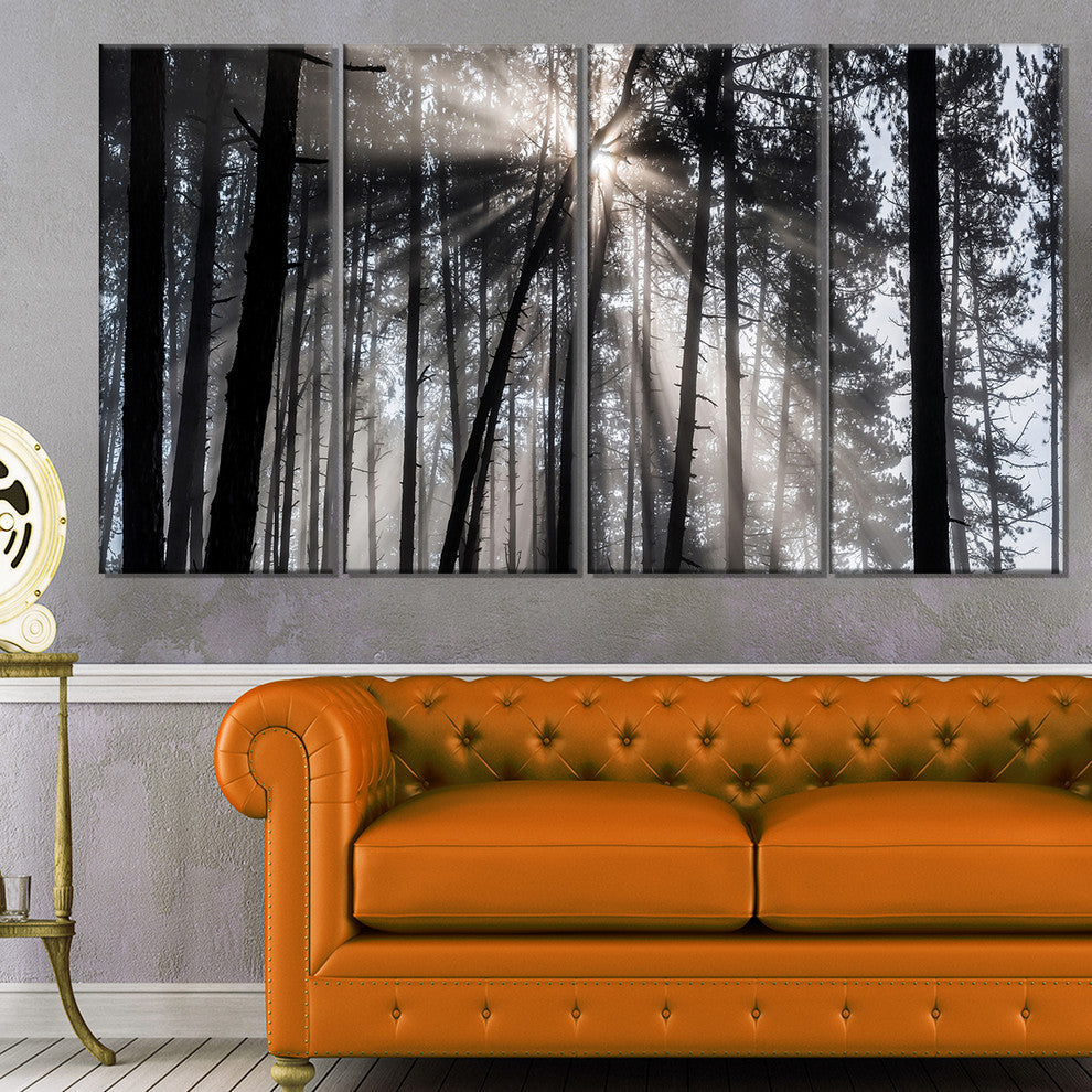 "Sunbeams through Black White Forest" Forest Wall Artwork Print, 4 Panels