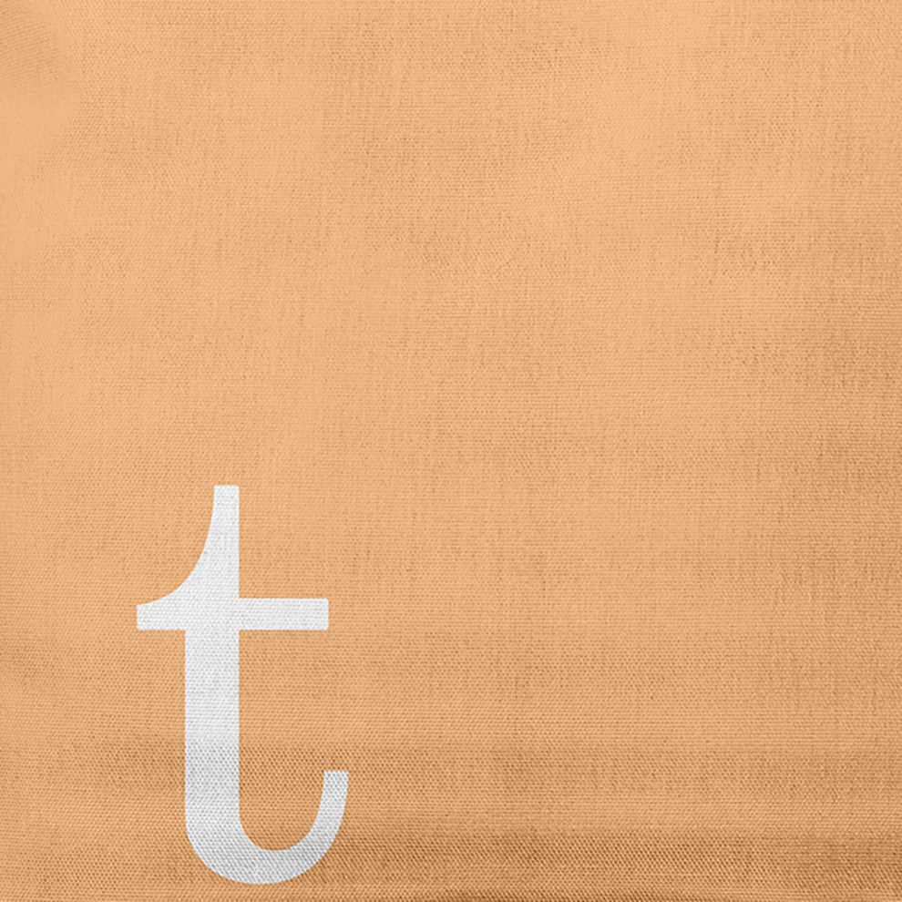 18"x18" Modern Monogram Decorative Throw Pillow, Pale Gold