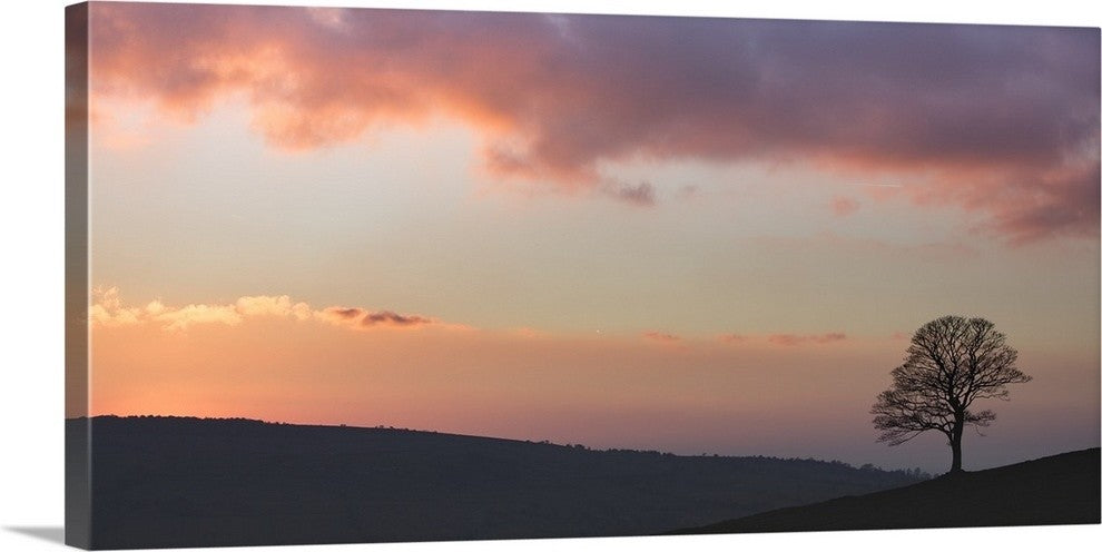 "Last Light" Wrapped Canvas Art Print, 30"x14"x1.5"