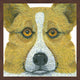 "Welsh Corgi" Framed Painting Print, 24"x24"