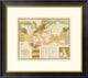 "Marine life, 1854" Framed Digital Print by Edward Forbes, 26x23"