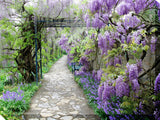 Wisteria Path Outdoor Art, 40x30
