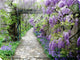 Wisteria Path Outdoor Art, 40x30