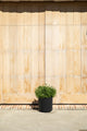 Veradek Demi Series Planter, Black, 12", 2 Pack