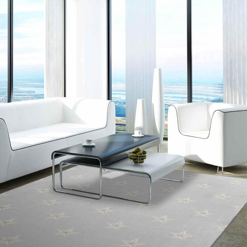 Star Pattern 3/8 Thick Indoor Area Rug Carpet, Frost, 9x11