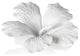 White Bone Wall and Table Decor, China Hibiscus Flower, Set of 3